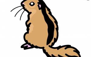 ニホンヤマネ - シマハイエナ