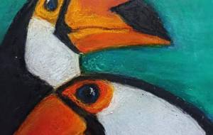 オオハシ - Arica