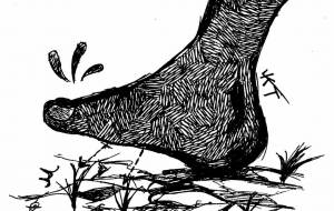 踏まない勇気 - 橘 木竜