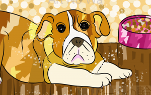 犬 - さとう自動車 SAKURA