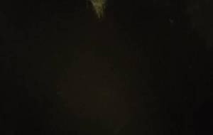 嘆き、愛の苦しみ(心から) - 真鍋哲地