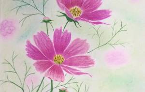 コスモス - 赤﨑ゆみ子