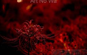 深緋の世界 - さくら