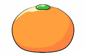 みかん - MASATAKA