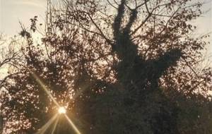 もう一度会いたい、もう一度笑顔、抱きしめたい - 真鍋哲地