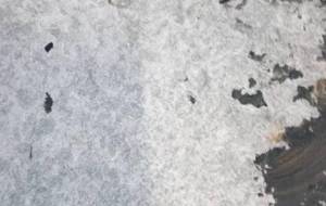 かかし(雨が降ろうとも嵐の日でも、本当にありがとね) - 真鍋哲地