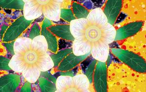 クリスマスローズの灯火 - 山下重人