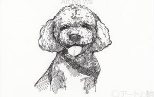 我が家の愛犬 - ラッコアラ