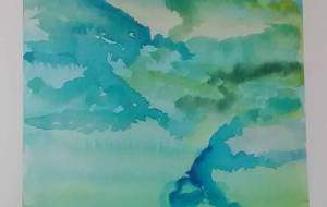 インド - サオリ