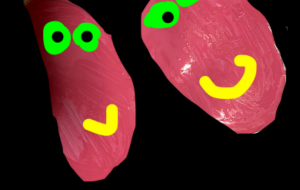 ニューヒョトリ - 笹谷正博