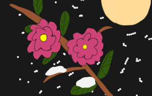 雪月花 - アンドル