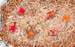 水面の落ち葉 - 柴田 和子