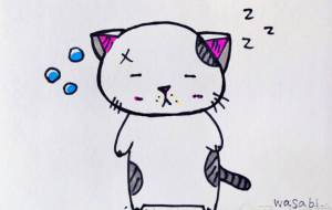 眠そうな白ぶちねこ - wasabi
