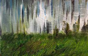 雨 2023.12.11 - 塩川華湖