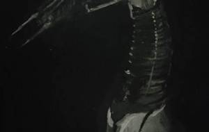 我、近未来白鳥AI搭載プロトタイプ - 真鍋哲地