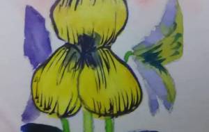 ビオラ - サオリ