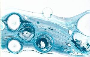 Lemurian Galaxy 62 - ☆ acco・Lemuria ☆