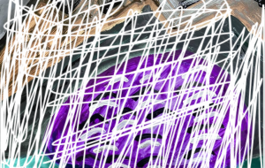 雪景色 - 笹谷正博