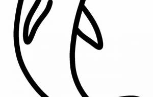 スナメリ - シマハイエナ