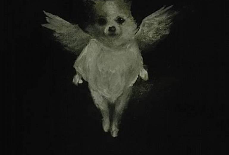 天使ピノちゃん（ペットさんは皆、天使！）