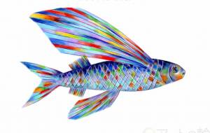 トビウオ - 田寺 誠人