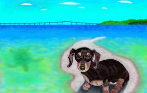 愛犬旅に出る-2 - 小雪0219