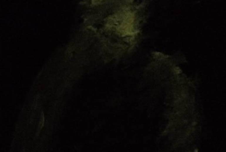 恩師さんへささげる、いつも笑顔、恩師さん心を救ってくれた