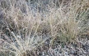 凍えるような寒空、遠い国々泣いてる子ども達(映画やアニメの、ヒーローだったら、助けにいくのだろうな、、) - 真鍋哲地