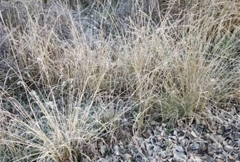 凍えるような寒空、遠い国々泣いてる子ども達（映画やアニメの、ヒーローだったら、助けにいくのだろうな、、）