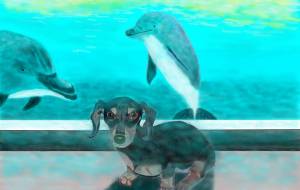 愛犬旅に出る-4 - 小雪0219