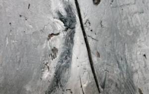 どんなに思っても、、(愛し合うことがタブーな精神障害者の愛) - 真鍋哲地