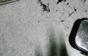 ボロボロの床、例えば貧困者の死 - 真鍋哲地