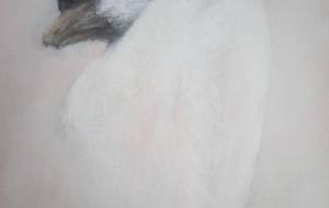 施設の方にありがとう!静かに時間が流れてる感じでした、静かでした - 真鍋哲地