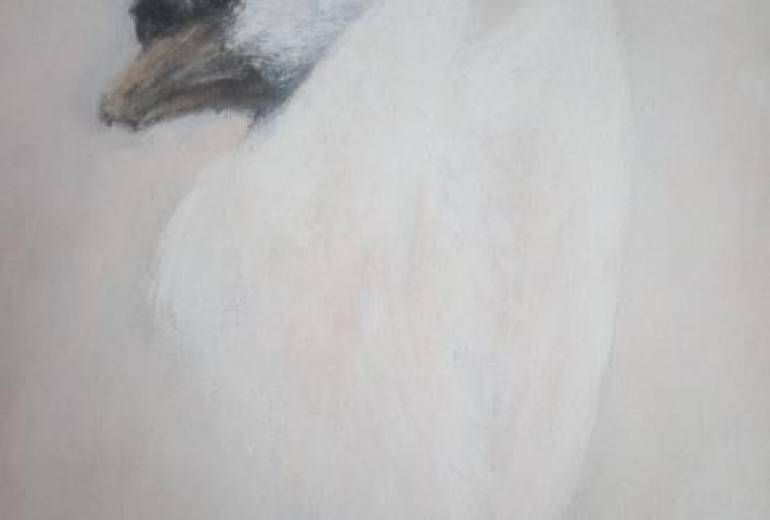 施設の方にありがとう！静かに時間が流れてる感じでした、静かでした