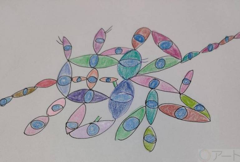 SHOW MEシリーズ　〜見てほしいけど見られると急に怖い