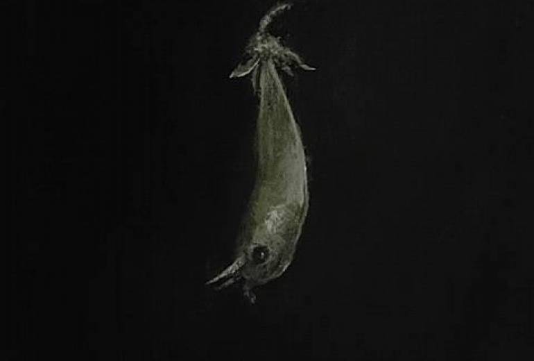 蛙豆鬼りららら～ふーーっ