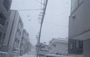 凄い雪 - 笹谷正博 
