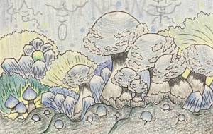 雨の花 - 絵言葉