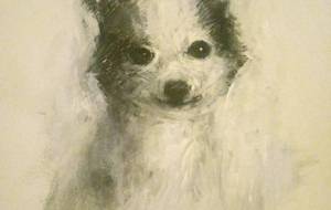 ピノちゃんどこか暖かいです(動物の純粋、ある意味!完璧です) - 真鍋哲地