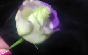 大切な一輪の花 - サオリ 
