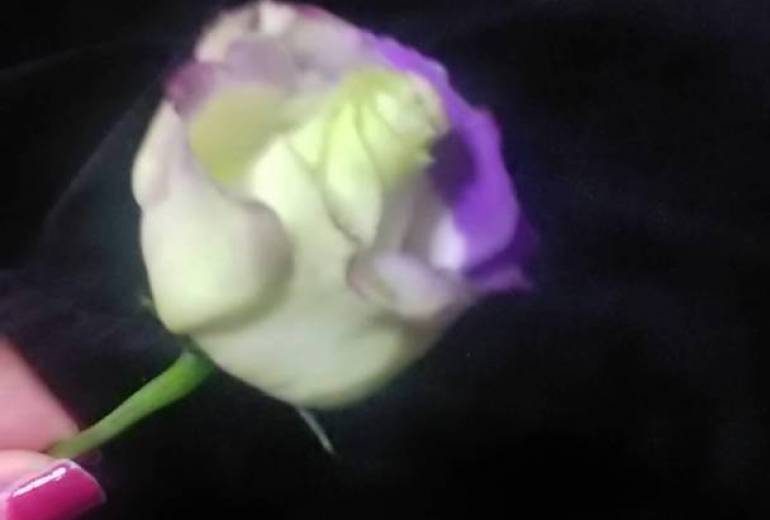 大切な一輪の花