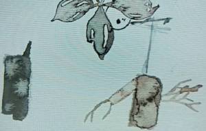 無題意味不明、枯れる。 - ぴぴ