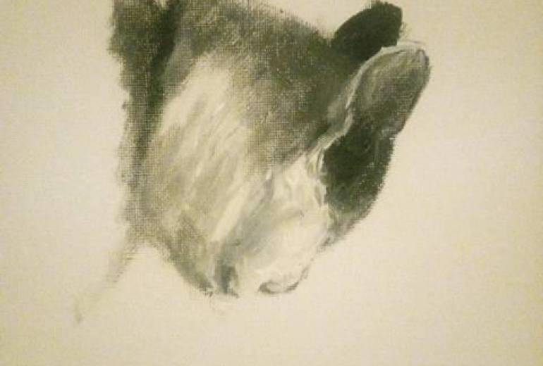 猫、ラフデザイン