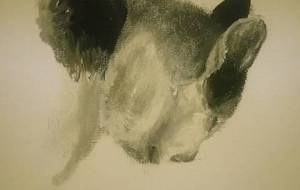 夜空のお星様猫、風ちゃん(完成作品型ありがとうね) - 真鍋哲地