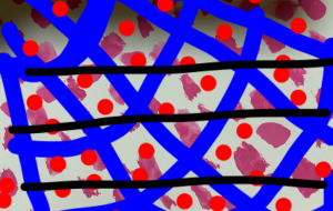 微熱程度 - 笹谷正博