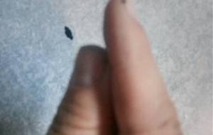 寂しいョ、寂しいョ、何時も一緒過ごす女性が寂しい - 真鍋哲地