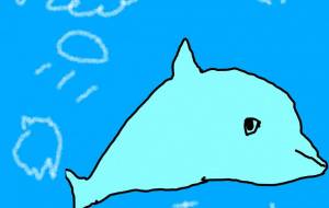 イルカ - tai