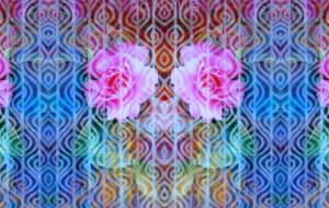 山茶花2024 - 相田朋子