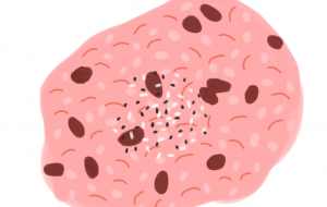 赤飯 - まかろんちゃん