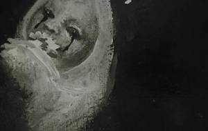 秋桜、を食べる、彼女、夜子 - 真鍋哲地